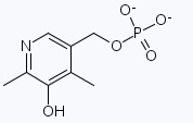 Vitamin B6